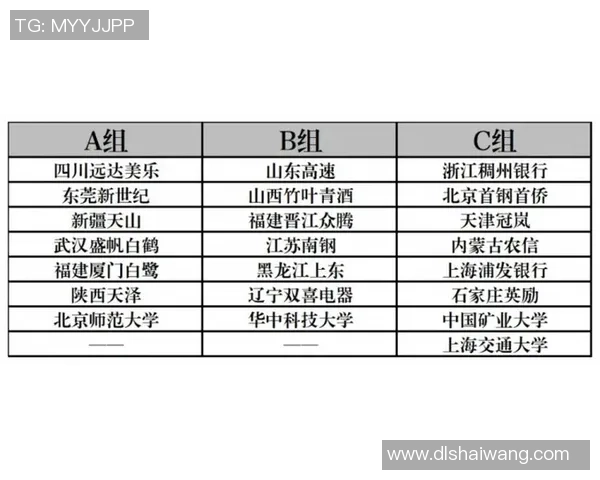 全国锦标赛分析：广州排球队技术水平与战术执行的全面评估