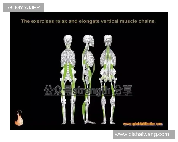 从零起步掌握乒乓球心理素质的全面指南与实战技巧